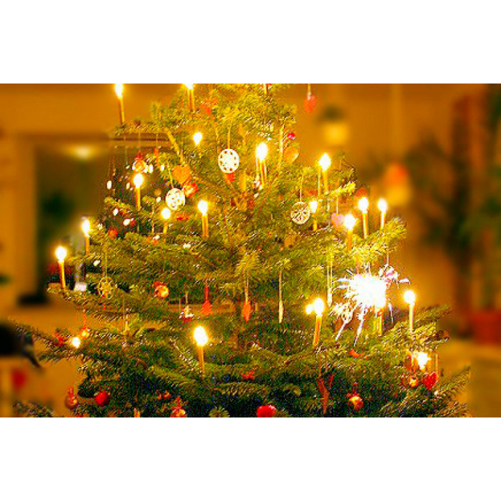 Rozsvietenie vianočného stromčeka 10.12.2023 o 16:00 hod.